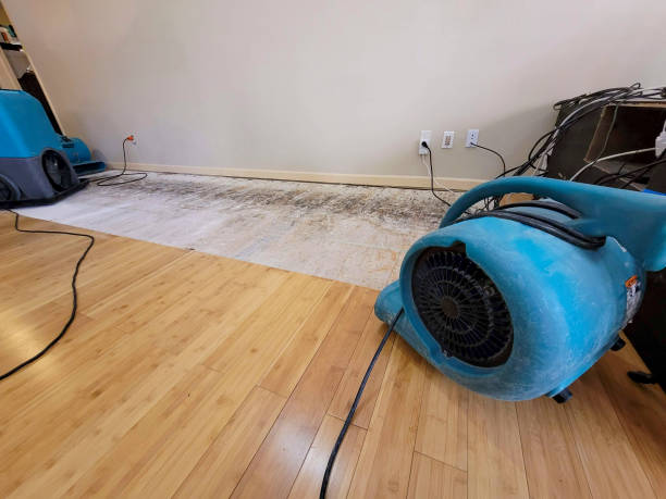 Professional Water Damage Repair technician working in Mooseheart, IL